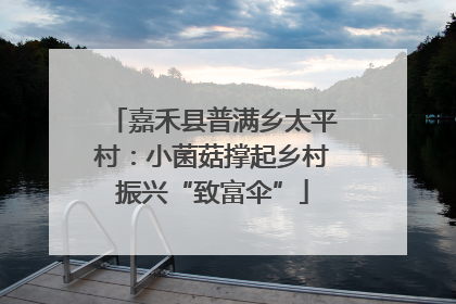 嘉禾县普满乡太平村：小菌菇撑起乡村振兴“致富伞”