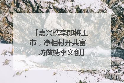 嘉兴槜李即将上市，净相村开共富工坊做槜李文创