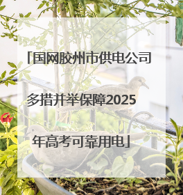 国网胶州市供电公司多措并举保障2025年高考可靠用电