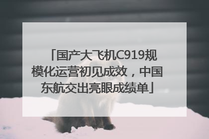 国产大飞机C919规模化运营初见成效，中国东航交出亮眼成绩单