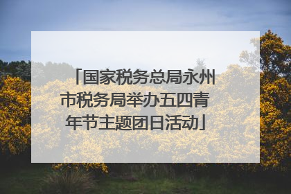 国家税务总局永州市税务局举办五四青年节主题团日活动