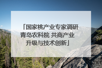国家桃产业专家调研青岛农科院 共商产业升级与技术创新