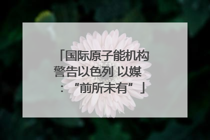 国际原子能机构警告以色列 以媒：“前所未有”