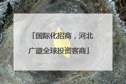 国际化招商，河北广邀全球投资客商