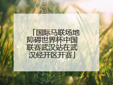 国际马联场地障碍世界杯中国联赛武汉站在武汉经开区开赛