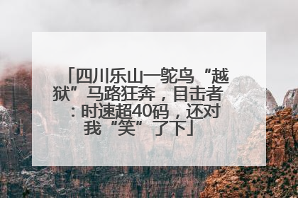 四川乐山一鸵鸟“越狱”马路狂奔,目击者:时速超40码,还对我“笑”了下