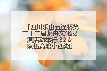 四川乐山五通桥第二十二届龙舟文化展演活动举行 32支队伍竞渡小西湖
