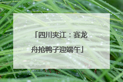 四川夹江：赛龙舟抢鸭子迎端午