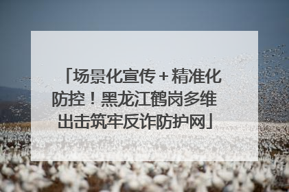 场景化宣传＋精准化防控！黑龙江鹤岗多维出击筑牢反诈防护网