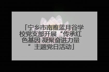 宁乡市南雅蓝月谷学校党支部开展“传承红色基因 凝聚奋进力量”主题党日活动