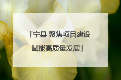 宁县 聚焦项目建设 赋能高质量发展