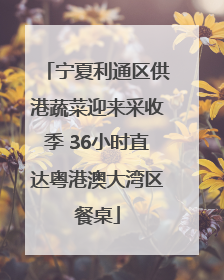 宁夏利通区供港蔬菜迎来采收季 36小时直达粤港澳大湾区餐桌