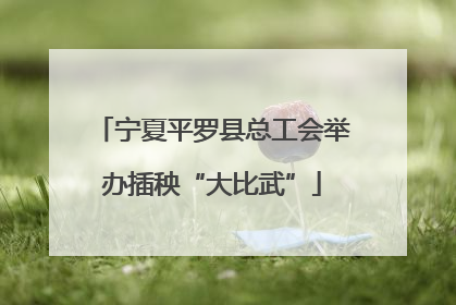 宁夏平罗县总工会举办插秧“大比武”