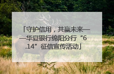 守护信用，共赢未来——华夏银行绵阳分行“6.14”征信宣传活动