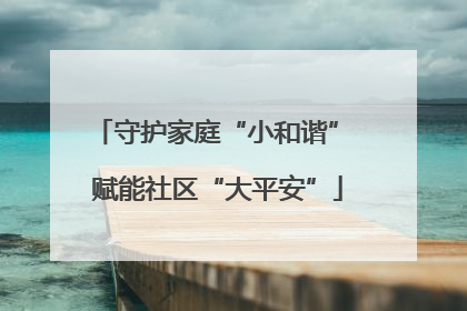 守护家庭“小和谐” 赋能社区“大平安”
