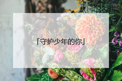 守护少年的你