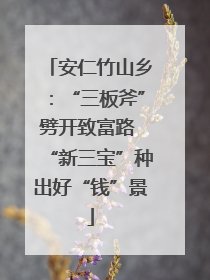安仁竹山乡：“三板斧”劈开致富路 “新三宝”种出好“钱”景
