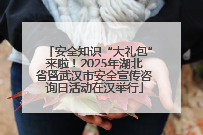 安全知识“大礼包”来啦！2025年湖北省暨武汉市安全宣传咨询日活动在汉举行