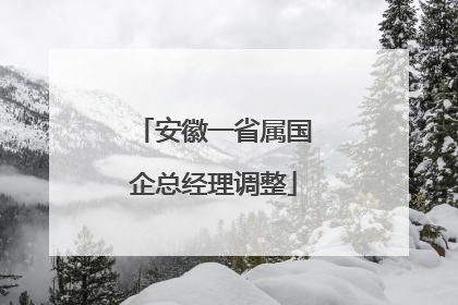 安徽一省属国企总经理调整