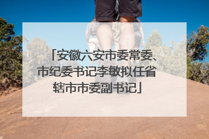 安徽六安市委常委、市纪委书记李敏拟任省辖市市委副书记