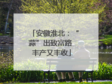 安徽淮北：“蒜”出致富路 丰产又丰收
