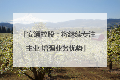 安通控股：将继续专注主业 增强业务优势