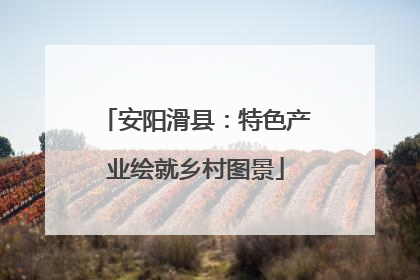 安阳滑县：特色产业绘就乡村图景