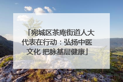 宛城区茶庵街道人大代表在行动：弘扬中医文化 把脉基层健康