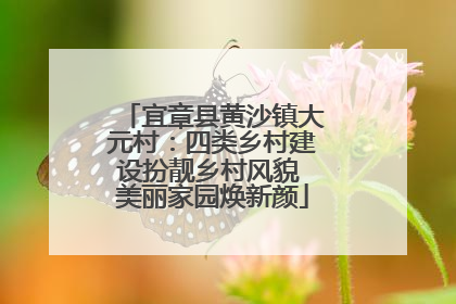 宜章县黄沙镇大元村：四类乡村建设扮靓乡村风貌 美丽家园焕新颜