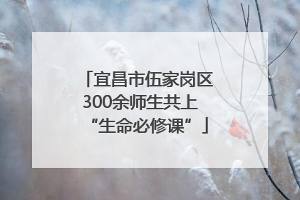 宜昌市伍家岗区300余师生共上“生命必修课”