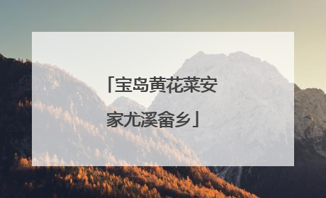 宝岛黄花菜安家尤溪畲乡