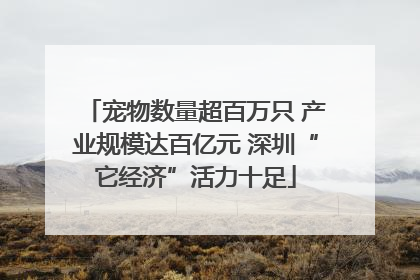 宠物数量超百万只 产业规模达百亿元 深圳“它经济”活力十足
