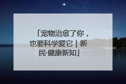 宠物治愈了你，也要科学爱它｜新民·健康新知