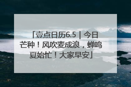 壹点日历6.5｜今日芒种！风吹麦成浪，蝉鸣夏始忙！大家早安