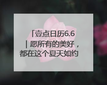 壹点日历6.6｜愿所有的美好，都在这个夏天如约而至！早安
