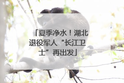 夏季净水！湖北退役军人“长江卫士”再出发