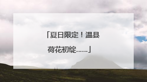 夏日限定！温县荷花初绽……