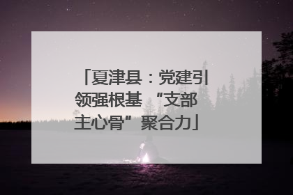 夏津县：党建引领强根基 “支部主心骨”聚合力