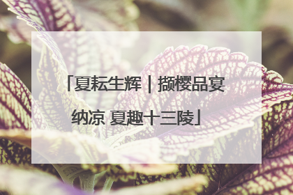夏耘生辉｜撷樱品宴纳凉 夏趣十三陵