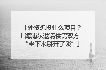 外资想投什么项目？上海浦东邀请供需双方“坐下来掰开了谈”