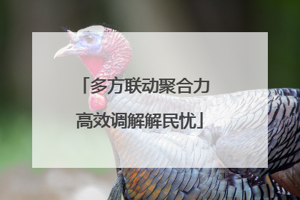 多方联动聚合力 高效调解解民忧