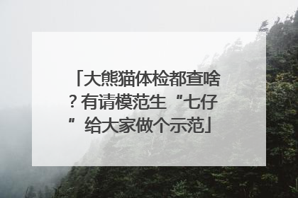 大熊猫体检都查啥？有请模范生“七仔”给大家做个示范