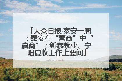 大众日报·泰安一周：泰安在“营商”中“赢商”；新泰就业、宁阳夏收工作上要闻
