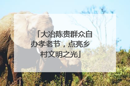 大冶陈贵群众自办孝老节，点亮乡村文明之光