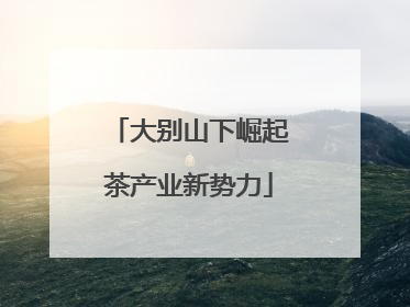 大别山下崛起茶产业新势力