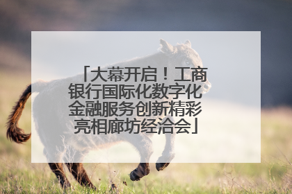 大幕开启！工商银行国际化数字化金融服务创新精彩亮相廊坊经洽会
