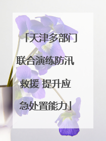 天津多部门联合演练防汛救援 提升应急处置能力