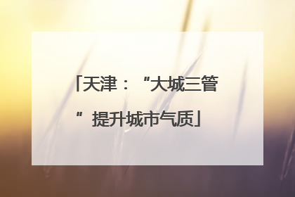 天津：“大城三管”提升城市气质