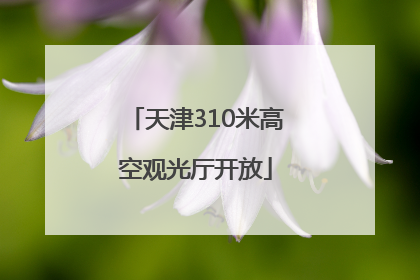 天津310米高空观光厅开放