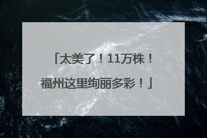 太美了！11万株！福州这里绚丽多彩！